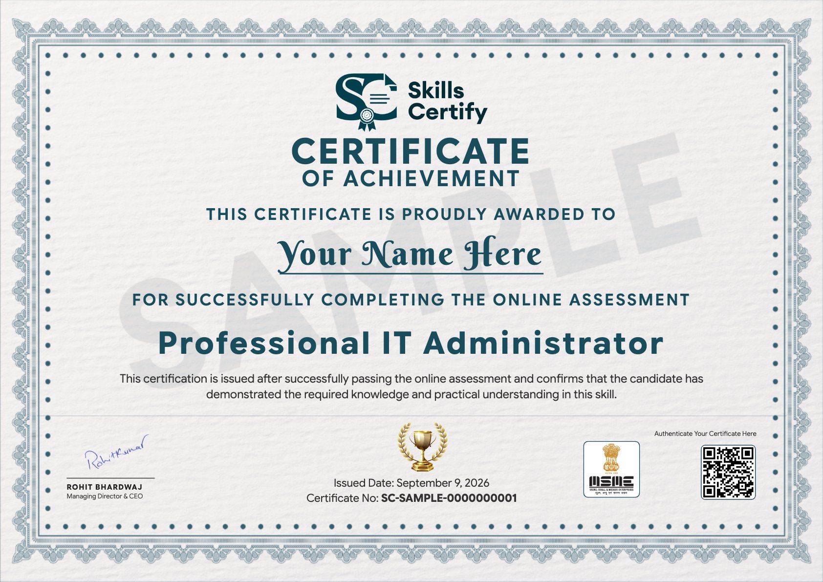 Professional IT Administrator