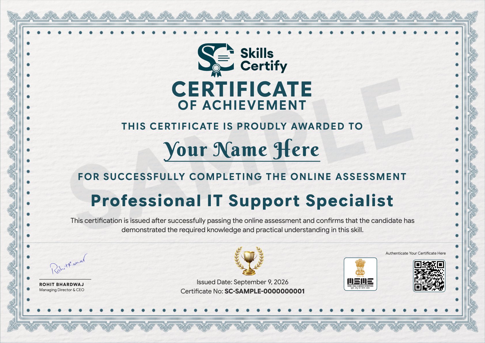 Professional IT Support Specialist