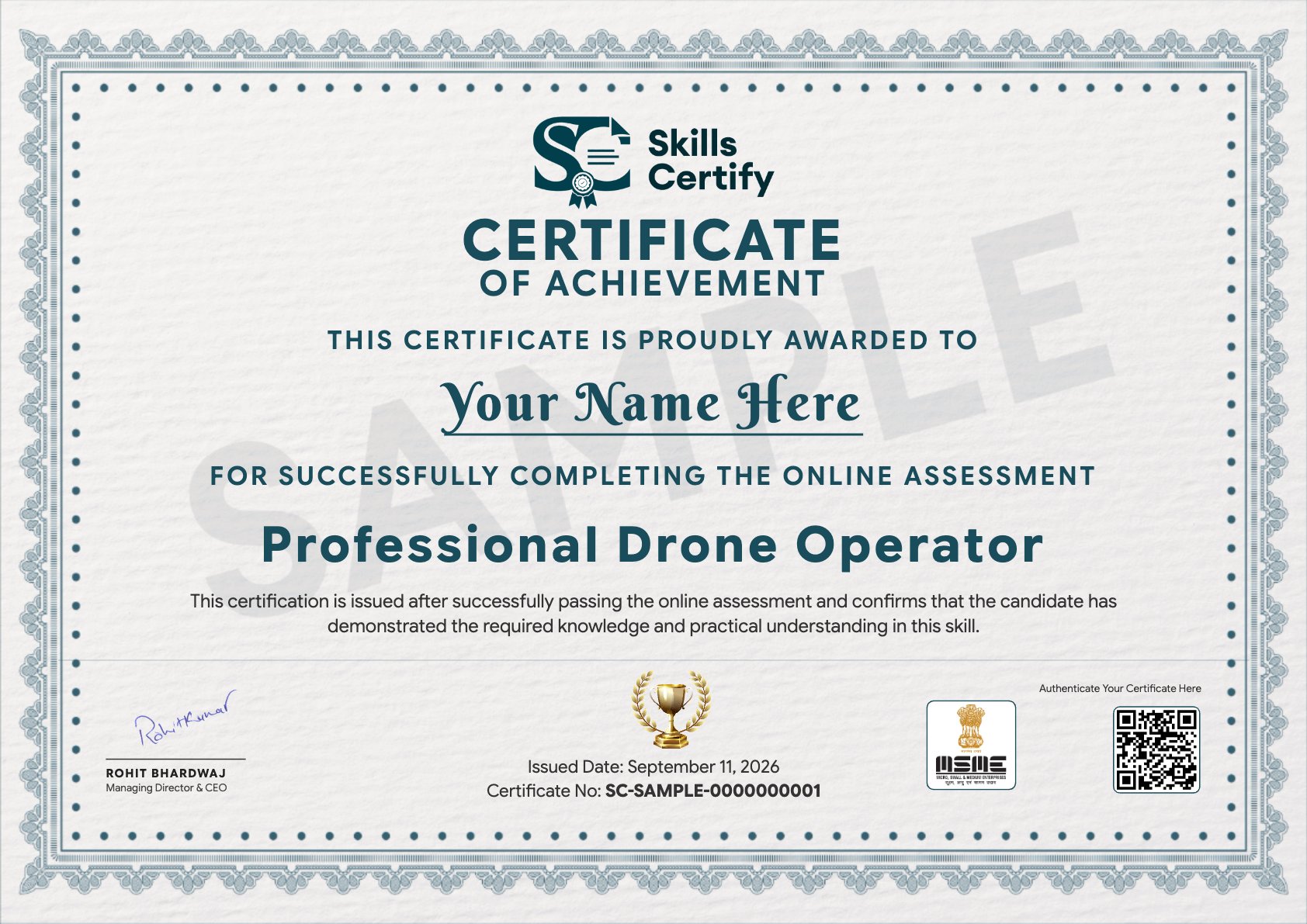 Professional Drone Operator