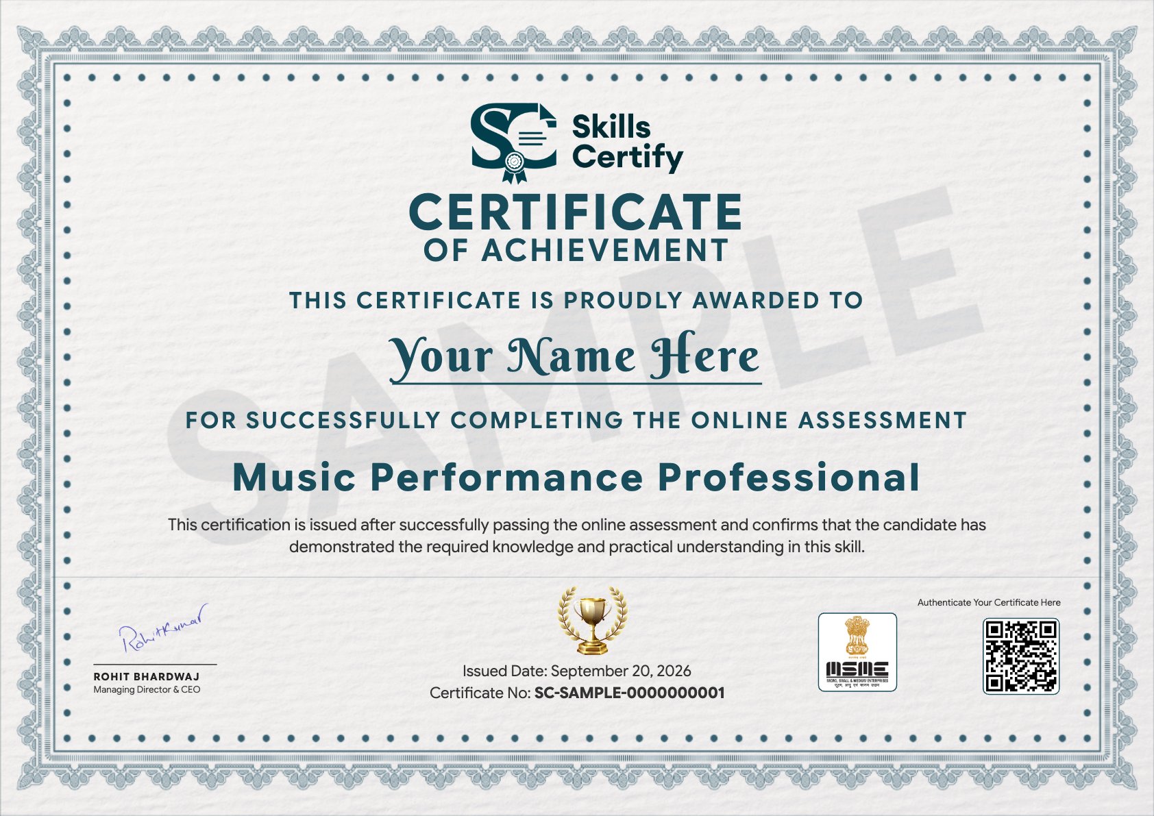 Music Performance Professional