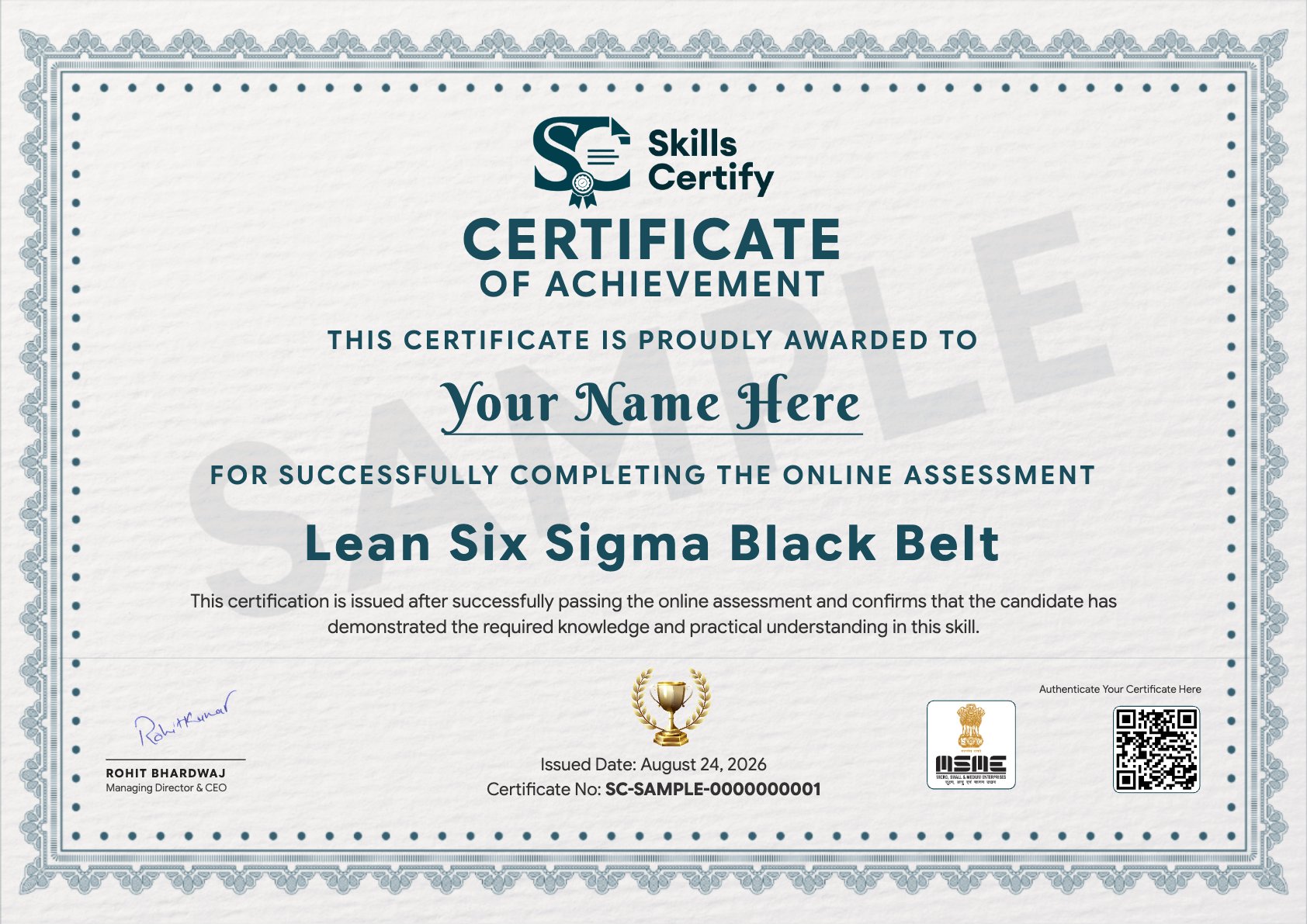 Lean Six Sigma Black Belt